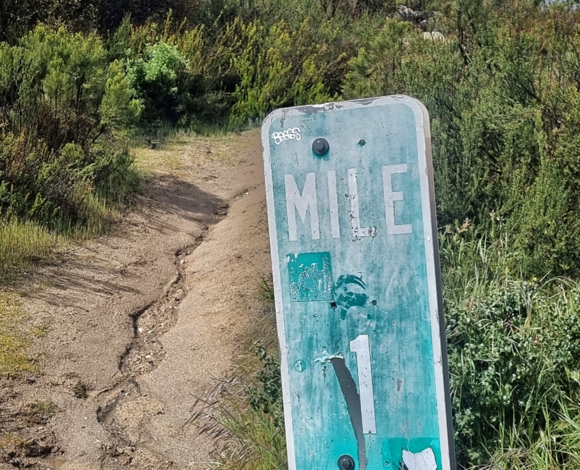 20230330 145250 01 scaled