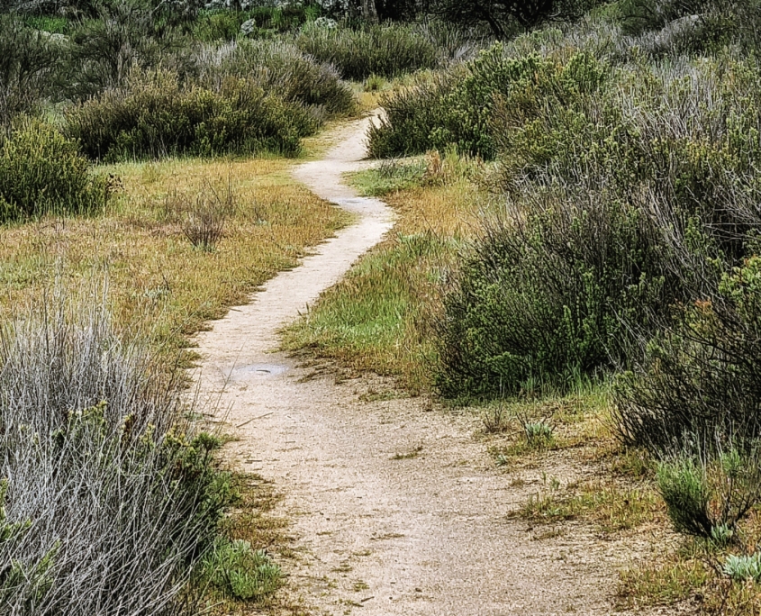 20230330 153115 01 scaled