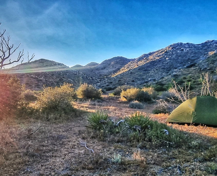 20230407 183540 01 scaled