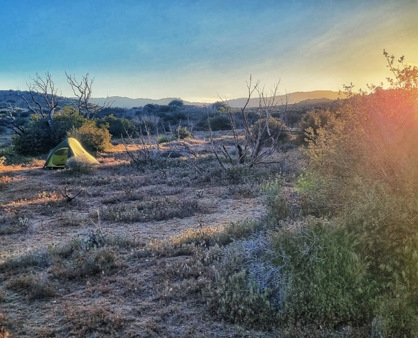 20230407 183723 01 scaled