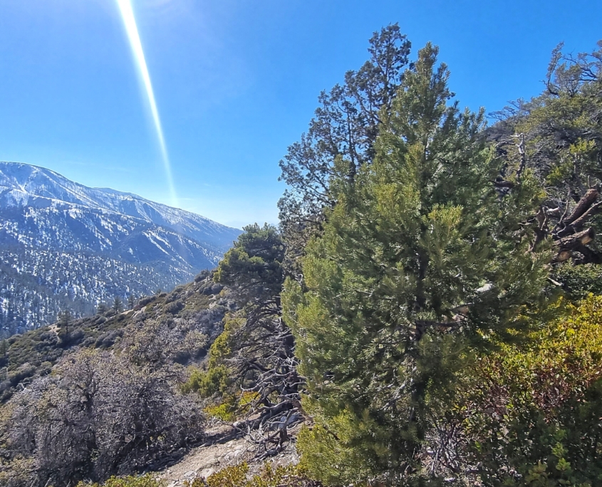 20230419 160838 01 scaled