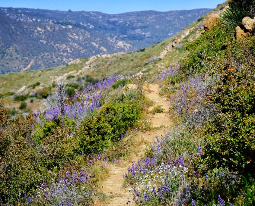 2023 0408 2031240011 01