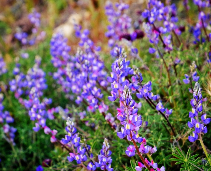 2023 0408 2031240012 01