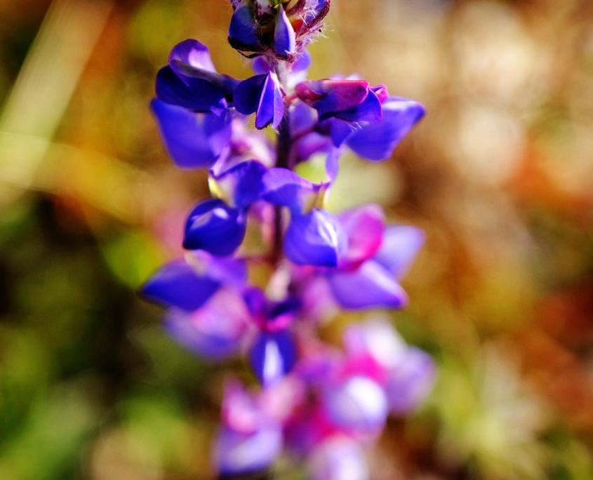 2023 0408 2031240014 01