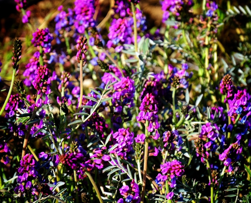 2023 0408 2031240019 01