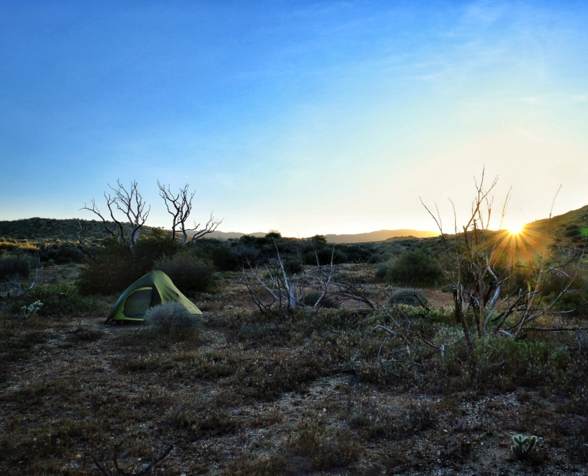 2023 0408 2031240020 01