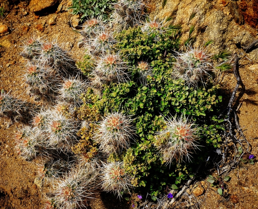 2023 0408 2031240024 01 1