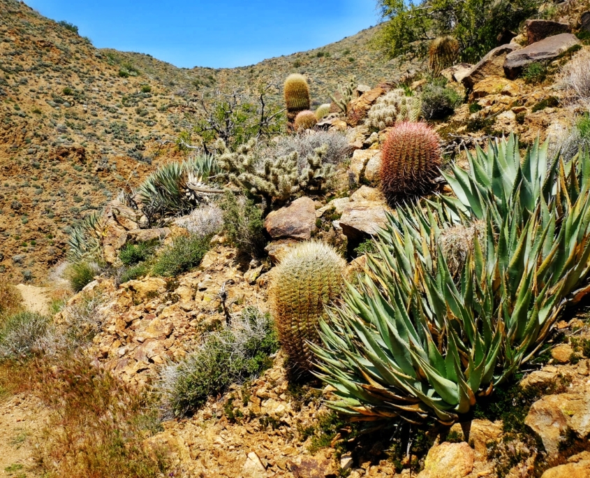 2023 0408 2031240026 01