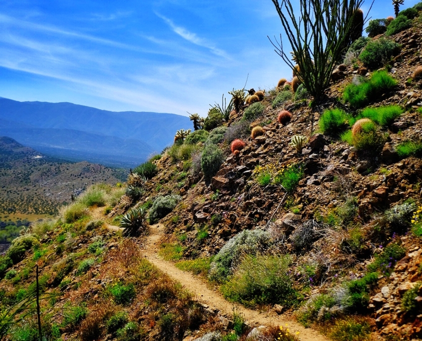 2023 0408 2031240027 01