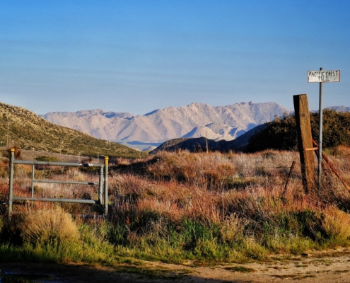 2023 0408 2031240043 01