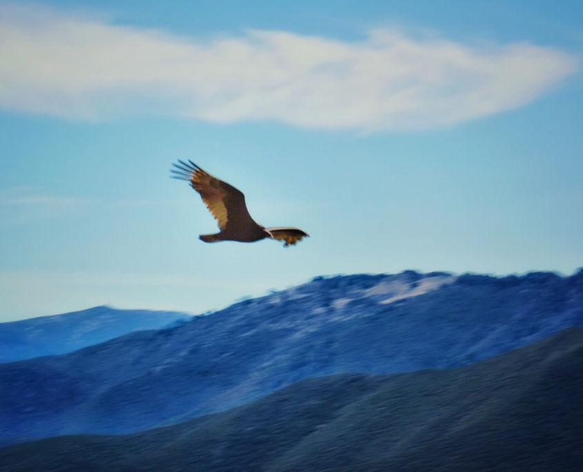 2023 0408 203124005 01