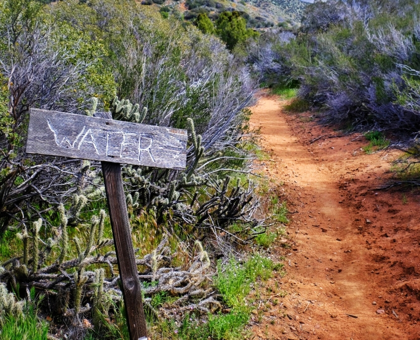 2023 0408 203124008 01