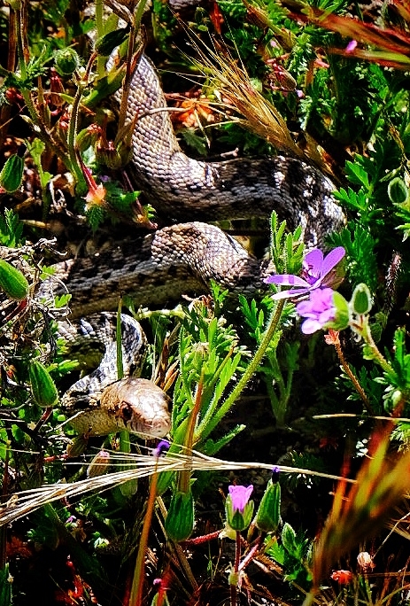 2023 0410 1923060010 02