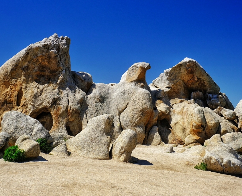 2023 0410 1923060015 01