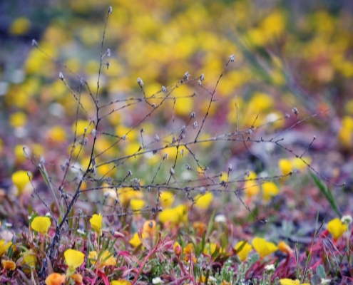 2023 0410 1923060027 01