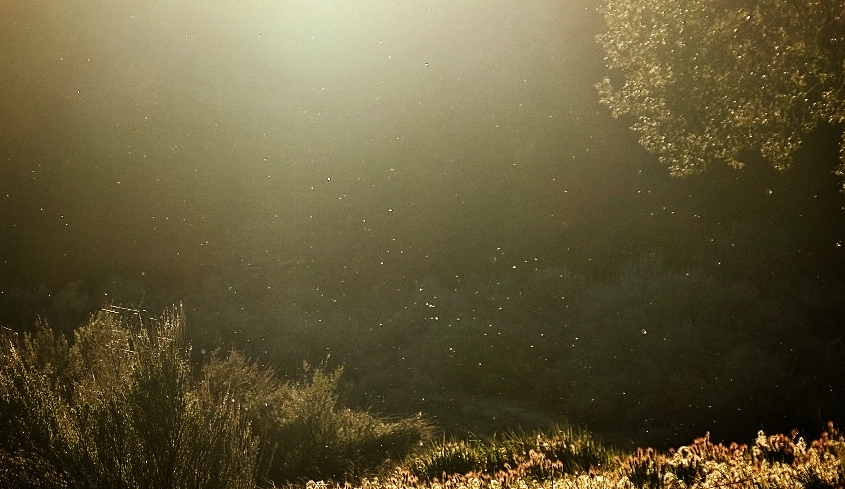 2023 0410 1923060031 01