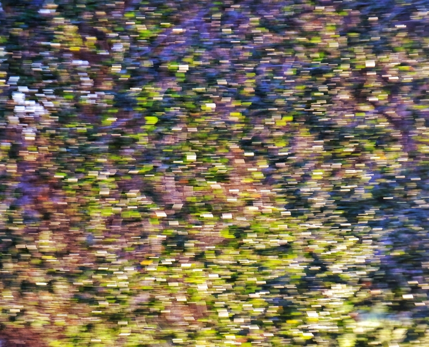 2023 0410 1923060034 01