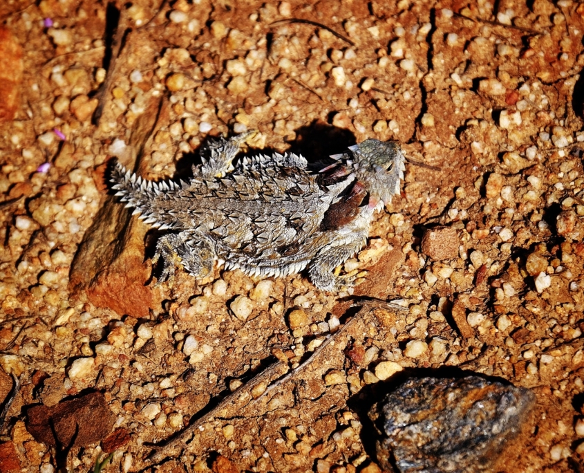 2023 0410 1923060040 01