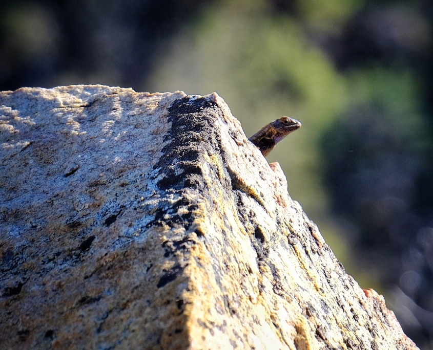 2023 0410 1923060044 01