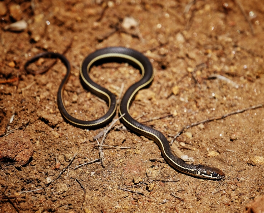 2023 0411 1950040017 01