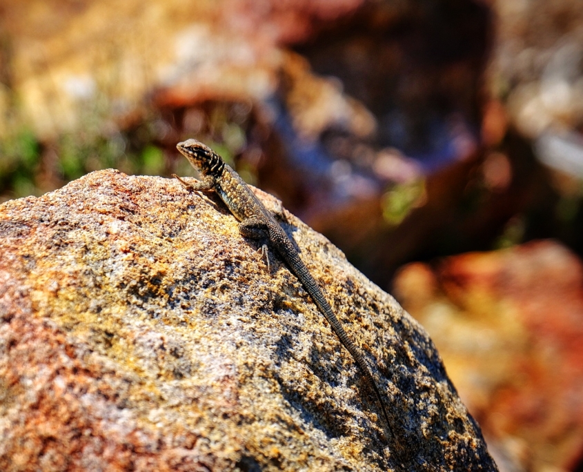 2023 0411 1950040018 01