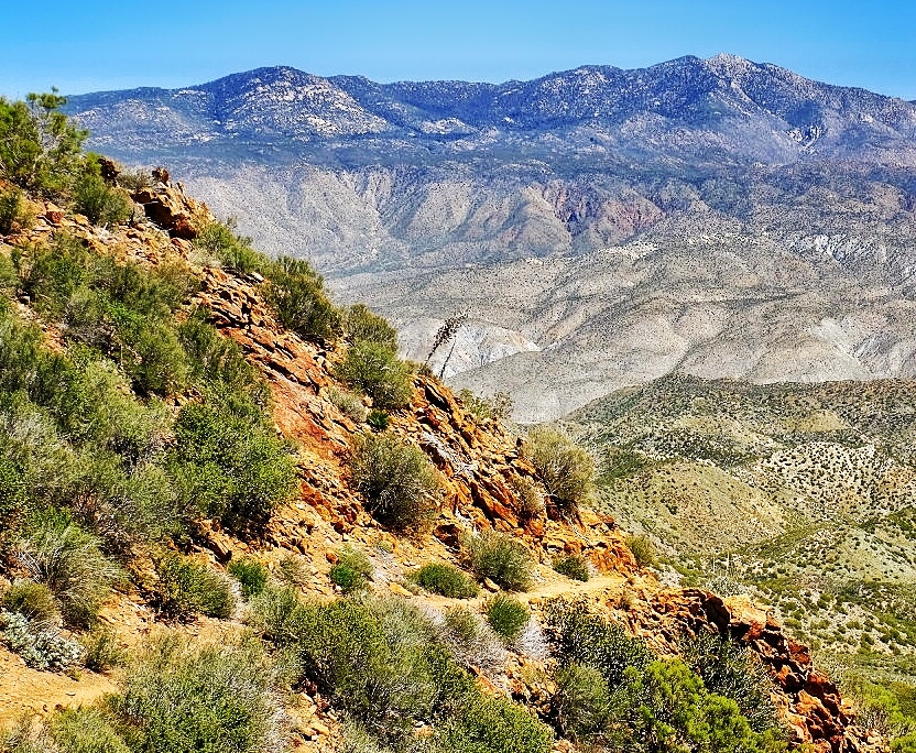 2023 0411 1950040020 01