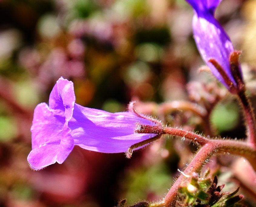 2023 0411 1950040025 01