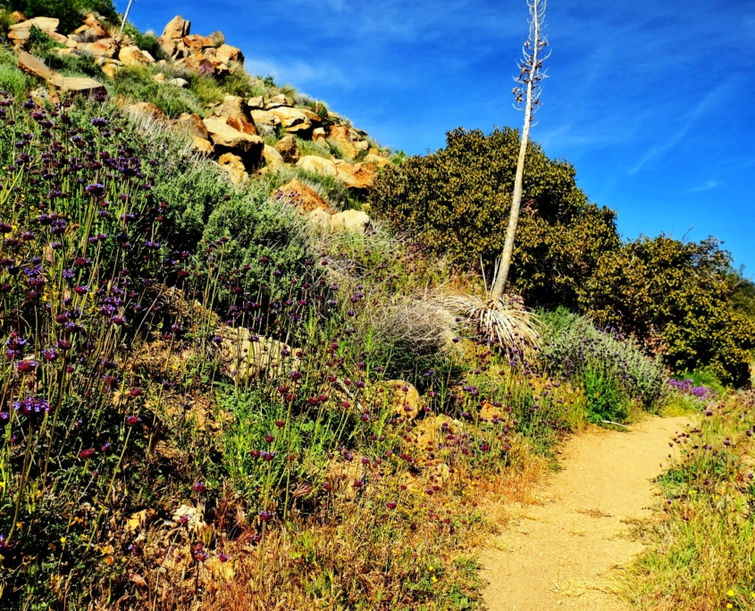 2023 0411 1950040032 01