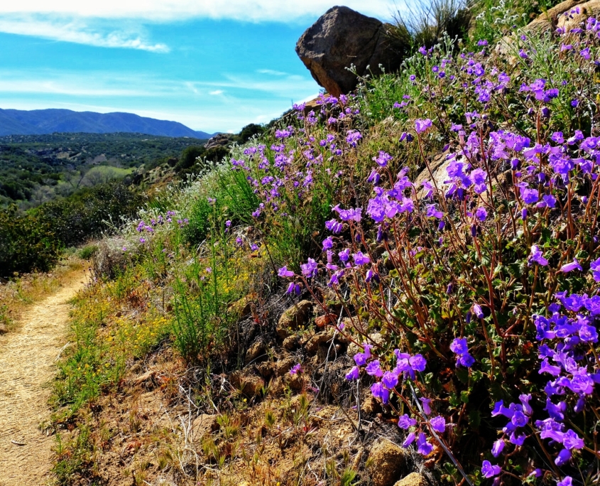 2023 0411 1950040034 01