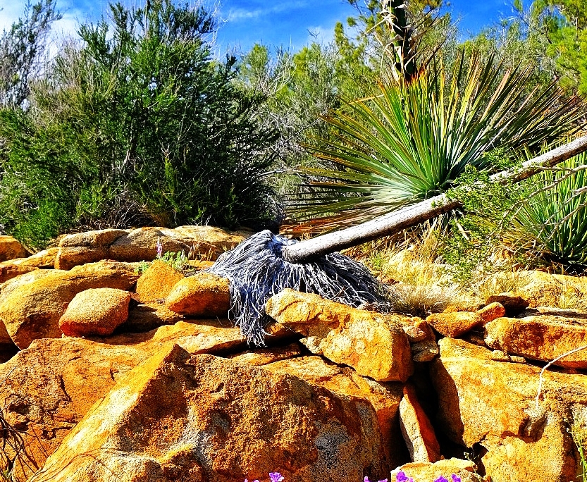 2023 0411 1950040035 01