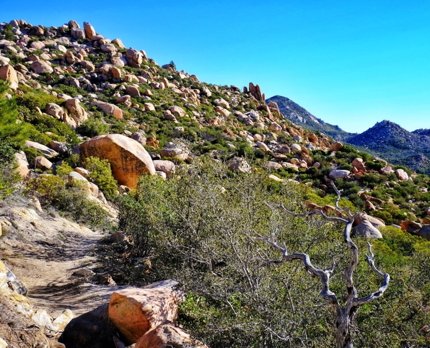 2023 0411 195004004 01