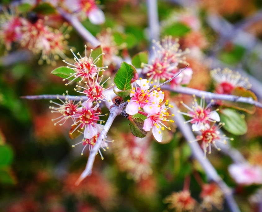 2023 0412 2153270013 01