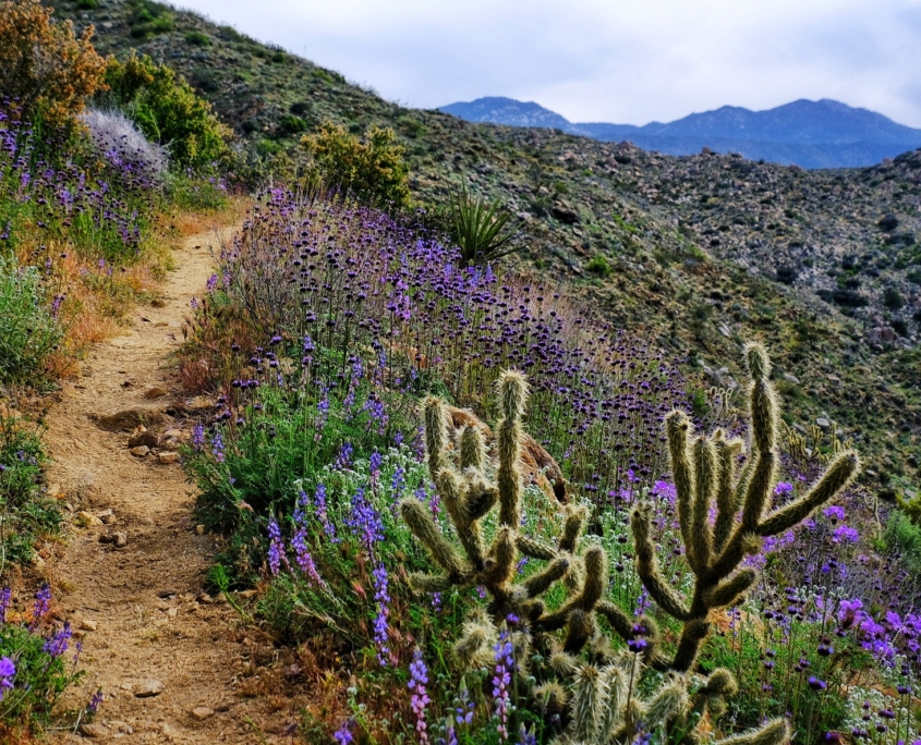 2023 0412 2153270015 01