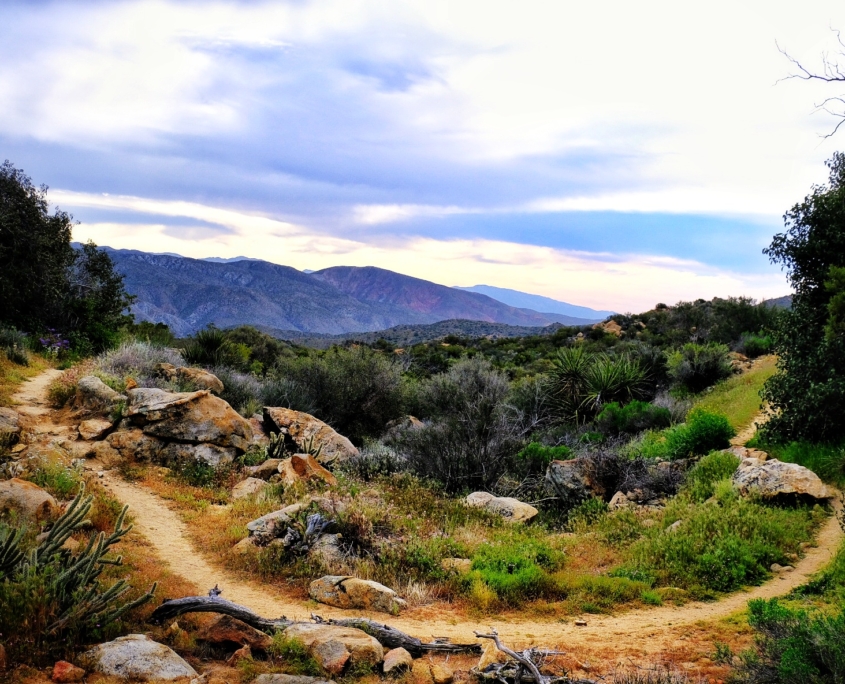 2023 0412 215327002 01