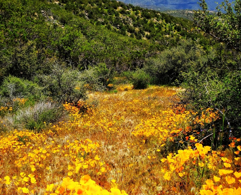 2023 0412 2153270023 01