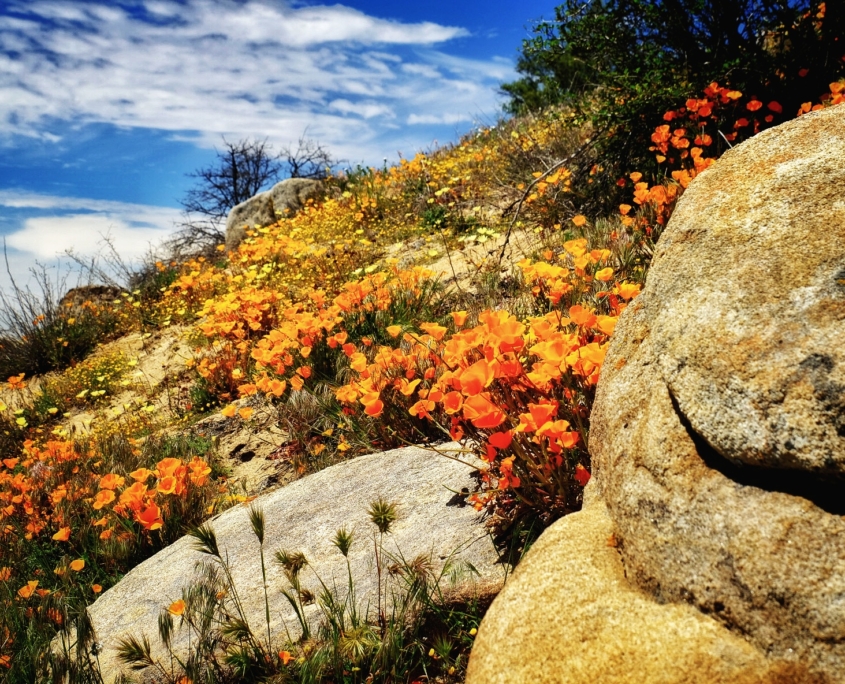 2023 0412 2153270025 01