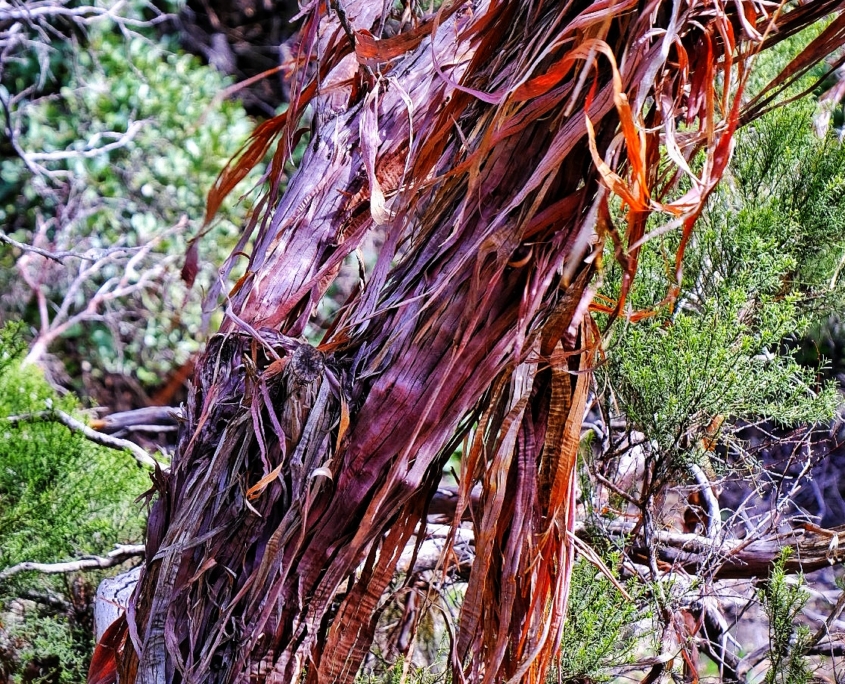 2023 0412 2153270028 01