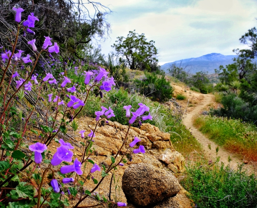 2023 0412 215327003 01