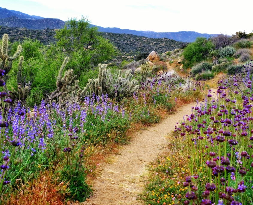 2023 0412 215327005 01