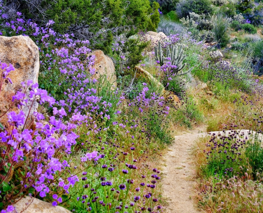 2023 0412 215327007 01