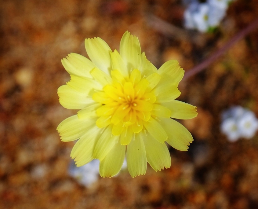 2023 0412 215327009 01