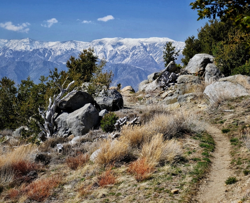 2023 0415 1813430014 01