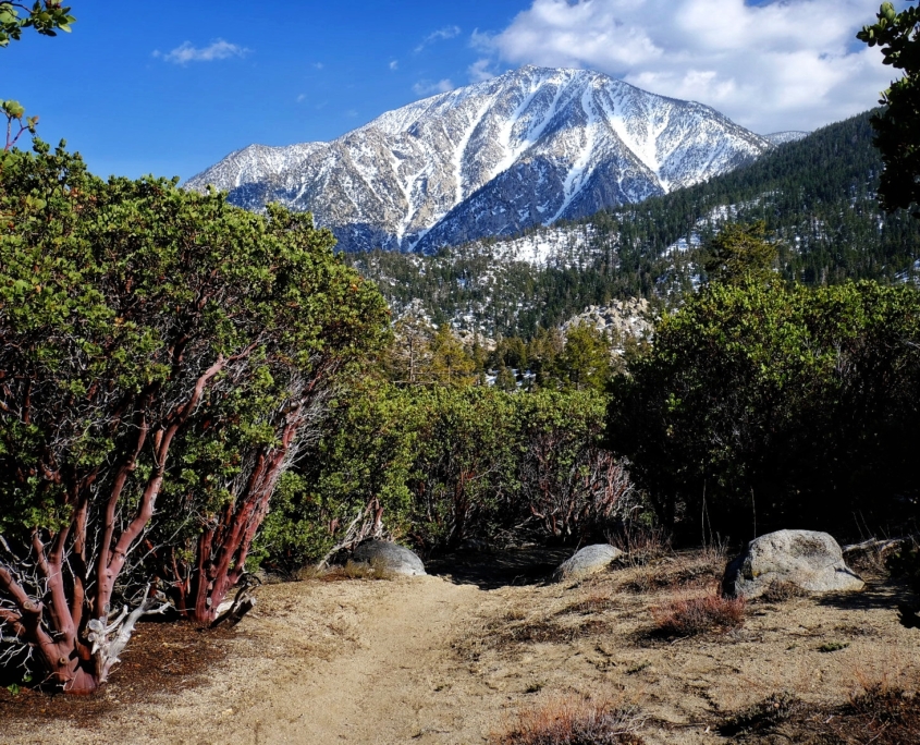 2023 0415 1813430015 01