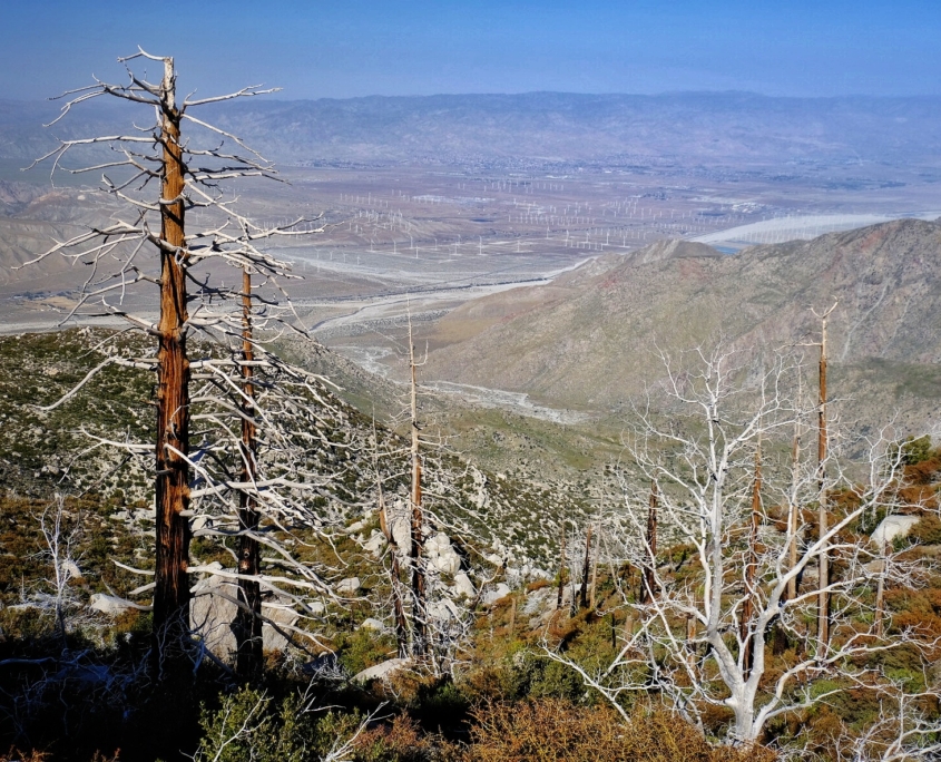 2023 0415 1813430017 01