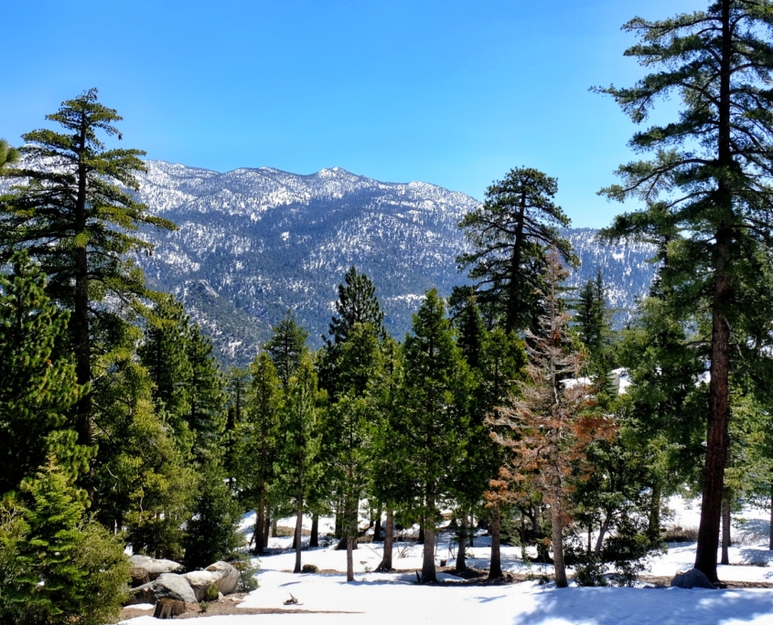 2023 0415 181343002 01