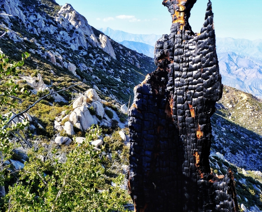 2023 0415 1813430024 01