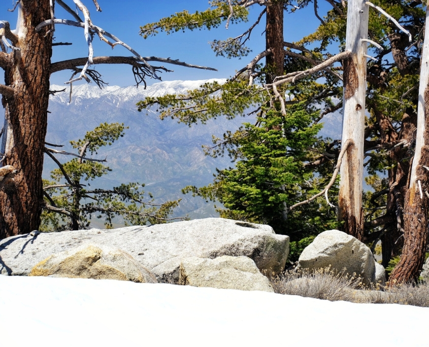 2023 0415 181343006 01