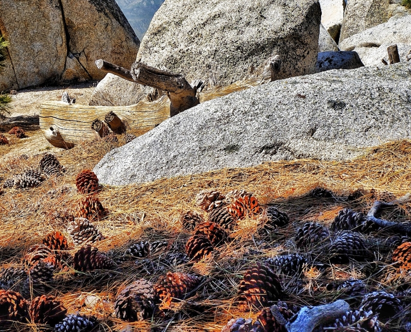 2023 0415 181343008 01