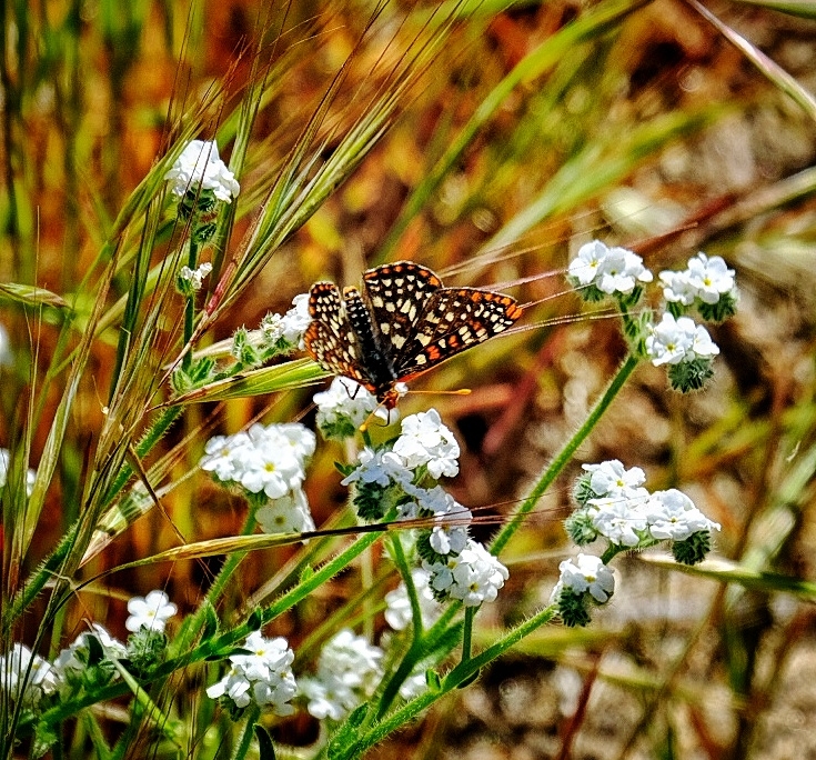 2023 0417 1754070011 01