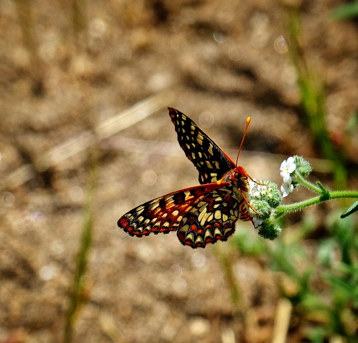 2023 0417 1754070012 01